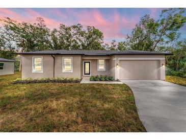 One-story home with a two-car garage and landscaped front yard at 405 N Mcdonald Ave, Deland, FL 32724
