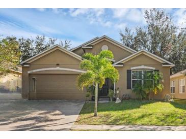 House exterior with a two-car garage and palm tree at 2430 Norwood Pl, Tavares, FL 32778