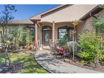 Inviting front entrance with landscaped walkway at 1562 Anorada Blvd, Kissimmee, FL 34744