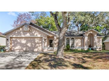 Photo one of 706 Satin Leaf Cir Ocoee FL 34761 | MLS O6259934