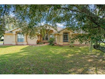 One-story house with light beige exterior, landscaped yard, and large tree at 1855 S Lehigh Dr, Deltona, FL 32738