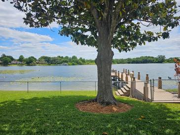 Lakefront property with private dock and lush landscaping at 3651 S Rosalind Ave, Orlando, FL 32806