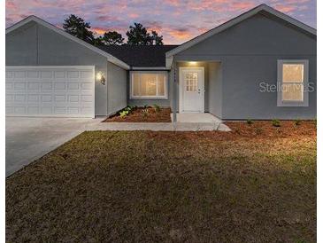 Gray house with a two-car garage and a well-manicured lawn at 1041 Ne 130Th Ter, Silver Springs, FL 34488