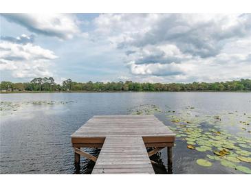 Wooden dock extending over calm lake water with lily pads at 22645 Ne 105Th Avenue Rd, Fort Mc Coy, FL 32134