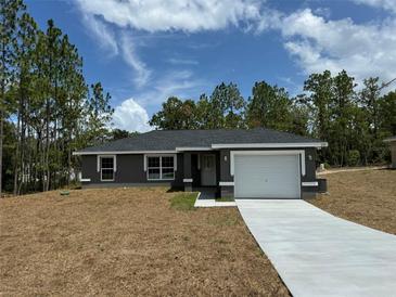 Newly constructed home with grey exterior and driveway at 235 Locust Ln, Ocala, FL 34472