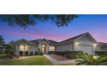 Photo one of 12531 Se 90Th Ter Summerfield FL 34491 | MLS OM672692