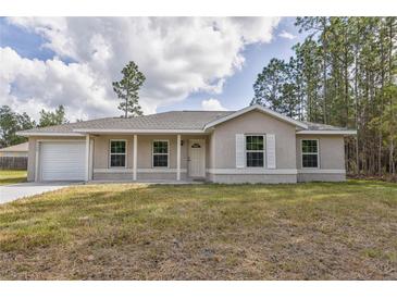 Charming one-story home with a covered porch at 247 Malauka Loop, Ocklawaha, FL 32179