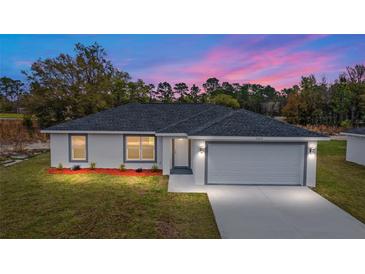 Photo one of 3940 Sw 151 Pl Ocala FL 34473 | MLS OM684819