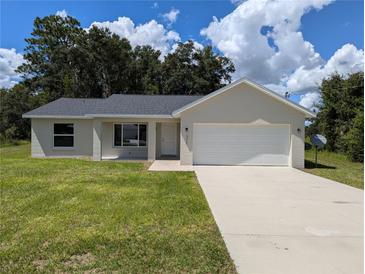 Photo one of 377 Malauka Loop Ocklawaha FL 32179 | MLS OM685018