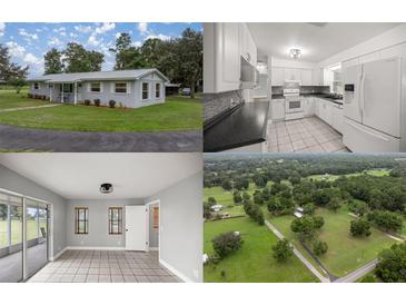 Photo one of 196 Nw 100Th Ave Ocala FL 34482 | MLS OM686106