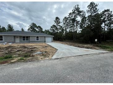 Photo one of 6525 Sw 207Th Ct Dunnellon FL 34431 | MLS OM687845