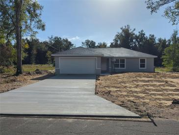 Photo one of 12071 Se 141St Ave Rd Ocklawaha FL 32179 | MLS OM688201