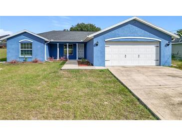 Cute blue house with a white garage door and well-maintained lawn at 17 Locust Lane Ter, Ocala, FL 34472