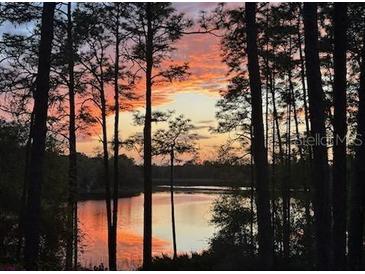 Stunning sunset view over lake from lakeside property at 14830 Se 61St Street Rd, Ocklawaha, FL 32179