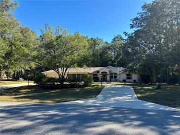 Single-story house with a long driveway and mature landscaping at 7535 Sw 185 Avenue Rd, Dunnellon, FL 34432