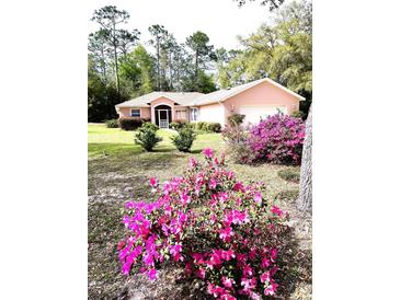 Photo one of 19427 Sw 100Th Loop Dunnellon FL 34432 | MLS S5101619