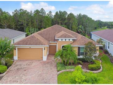 Single Gathering home with two car garage and manicured lawn at 694 Irvine Ranch Rd, Kissimmee, FL 34759