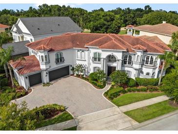 Luxury home with tile roof and large driveway at 7459 Gathering Dr, Reunion, FL 34747