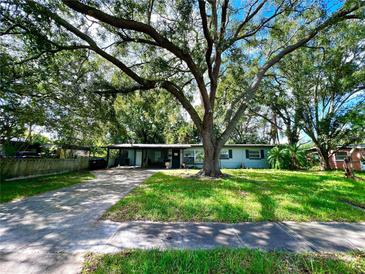 Charming ranch home with a large tree and spacious lawn at 5312 Goddard Ave, Orlando, FL 32810