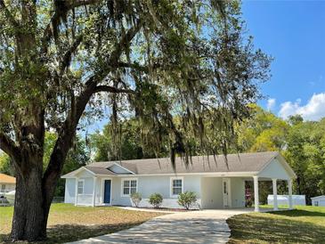 Newly painted one-story home with carport and landscaped yard at 4423 Reaves Rd, Kissimmee, FL 34746