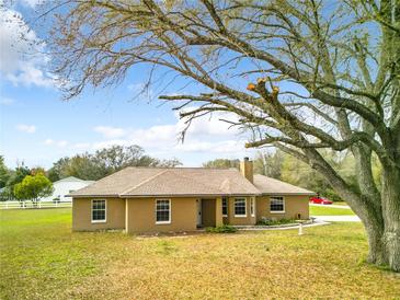 Photo one of 11580 Sw 136Th Court Rd Dunnellon FL 34432 | MLS T3508779