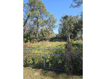 Ranch style home with overgrown yard needing landscaping at 828 Clark Rd Rd, Lakeland, FL 33815