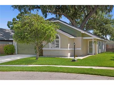 Charming one story home with green exterior and lush landscaping at 3457 Martingale Ct, Port Orange, FL 32129