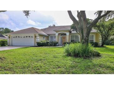 Single-story home with attractive landscaping and a large yard at 3709 Donegal Cir, Ormond Beach, FL 32174