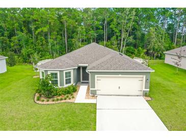 One-story home with a two-car garage and landscaped yard at 370 Sunset Point Dr, Ormond Beach, FL 32174
