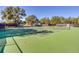 Well-maintained tennis courts are ready for a match at 33953 Terragona Dr, Sorrento, FL 32776