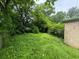 Overgrown backyard with tall grass and trees at 1134 N Davis Ave, Lakeland, FL 33805