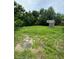 Large backyard with overgrown grass and a small structure at 1134 N Davis Ave, Lakeland, FL 33805