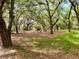 Lush, wooded area with mature oak trees and dappled sunlight at 850 Eden Dr, Saint Cloud, FL 34771