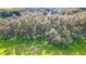 Aerial view of a lush green field with large oak trees at 4292 Sw 73Rd Trl, Bushnell, FL 33513