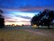 Serene backyard view at dusk at 29912 Cypress Pointe, Deer Island, FL 32778
