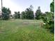 Vacant lot with grassy area, providing ample space for new construction at 2905 Black Birch Dr, Ocoee, FL 34761