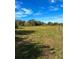 Open land with sparse vegetation and a fence at 129 Constitution Ln, Frostproof, FL 33843