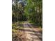 Dirt road winds through a wooded area at 891 Michigan St, Sanford, FL 32773