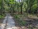 Dirt road through a wooded area at 891 Michigan St, Sanford, FL 32773