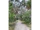 Scenic walking path through lush vegetation at 3800 Saxon Dr # C-52, New Smyrna Beach, FL 32169