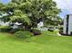 Community pool surrounded by grass and mature trees at 333 Lake Howard Nw Dr # 202C, Winter Haven, FL 33880