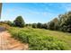 Overgrown backyard with dirt and patchy grass at 10109 Old Spanish Trl, Polk City, FL 33868