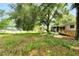 Overgrown backyard with mature trees and potential at 905 14Th Ne St, Winter Haven, FL 33881