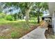 Large backyard with mature trees and grassy area at 905 14Th Ne St, Winter Haven, FL 33881