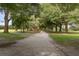 Scenic path meandering through lush landscaping and towering trees at 3404 Rexford Cir, Ormond Beach, FL 32174