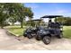 Two golf carts parked near lush green landscaping at 3404 Rexford Cir, Ormond Beach, FL 32174