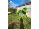 Backyard with an air conditioning unit and overgrown grass at 118 Deacon Jones Blvd, Orlando, FL 32810