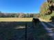 Open land with a dirt road and natural vegetation at 2436 Cr 416N, Lake Panasoffkee, FL 33538