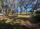 Wooded backyard with a lush green lawn and mature trees at 7874 Midway Drive Ter # V101, Ocala, FL 34472