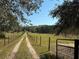 Long private driveway leading to a secluded home at 21342 S Buckhill Rd, Clermont, FL 34715